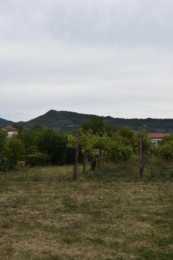 Small House In Vipava Valley المظهر الخارجي الصورة